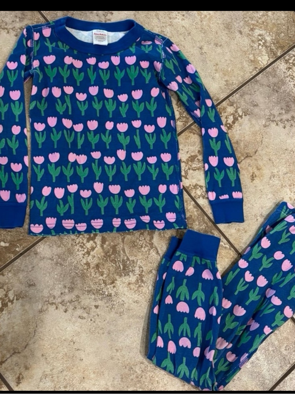 Hanna Andersson Blue Tulip Pajamas